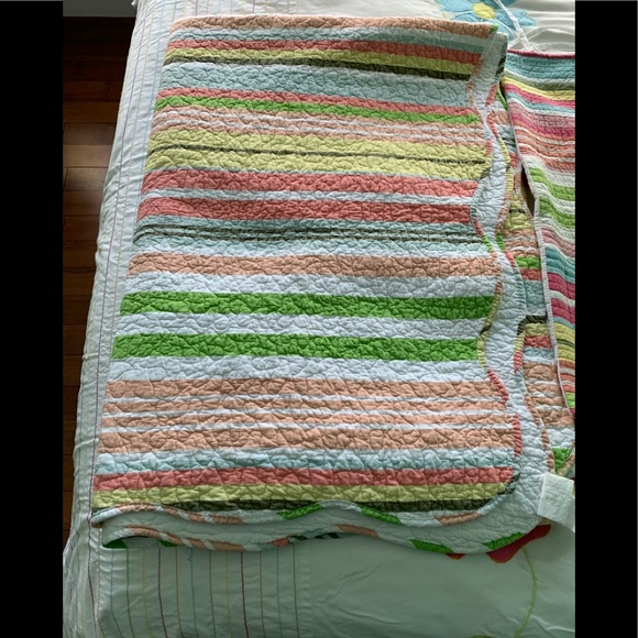 Twin size Quilts - Picture 5 of 10